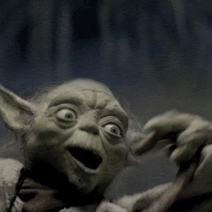 Meet your Posher, Donovan